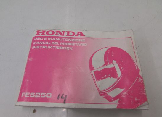 Fahrerhandbuch Honda Fes 250
