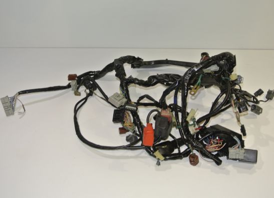 Kabelboom Honda CBR 600 RR