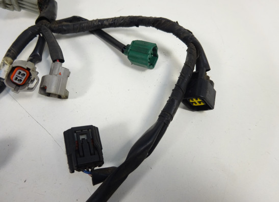 Kabelboom Yamaha FZ8