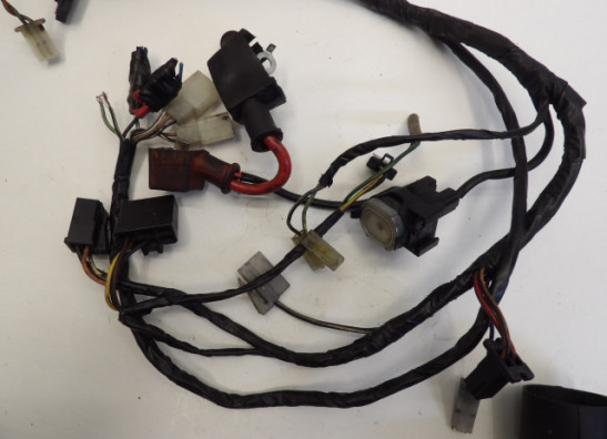 Wire Harness Suzuki GSX F 1100