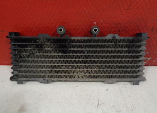 Olkuhler Suzuki GSX F 600