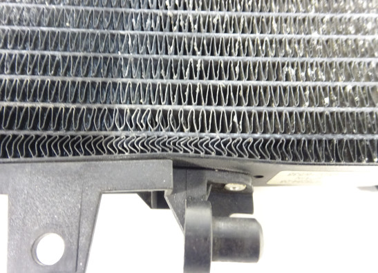 Kuhler BMW F 800 S - ST