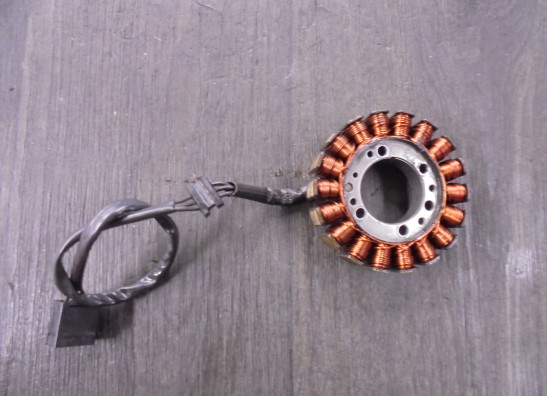 Dynamo Kawasaki Z 900 2017-2019