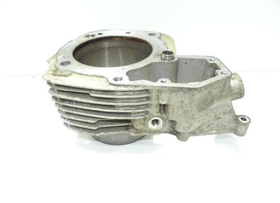 Cilinderblok BMW R 1100  1150 RS