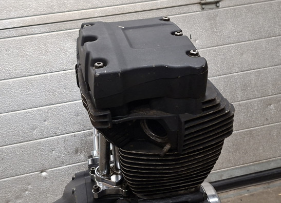 Motorblok Harley Davidson Softtail