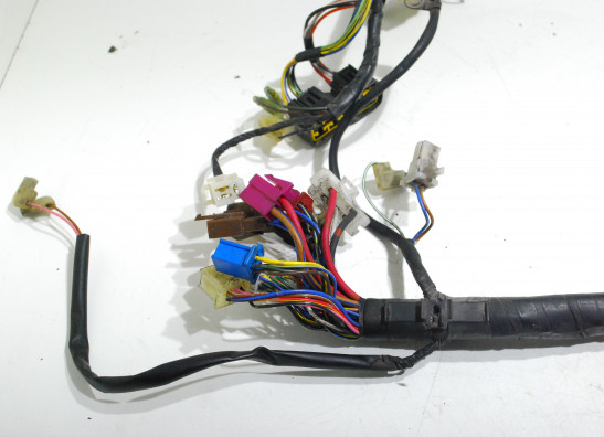 Wire Harness Yamaha FAZER 600