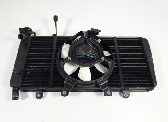 Radiateur Triumph Sprint ST 1050