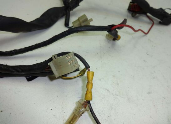 Kabelboom Honda NTV 650