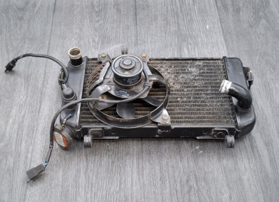 Radiateur Suzuki SV 650