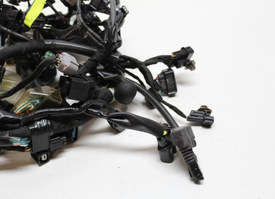 Kabelbaum Honda CRF 1100 Africa Twin