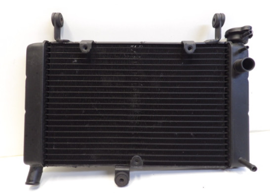 Kuhler Yamaha FZR 600