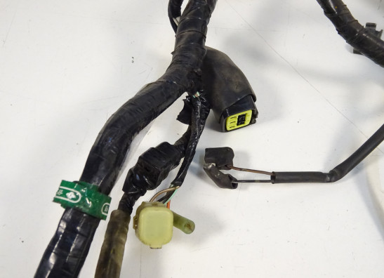 Kabelbaum Kawasaki VERSYS 650