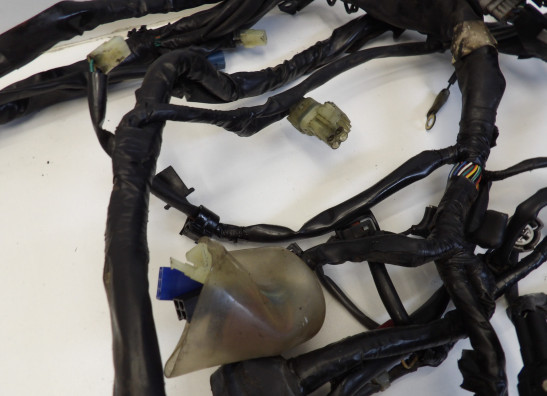 Kabelboom Honda CBF 1000