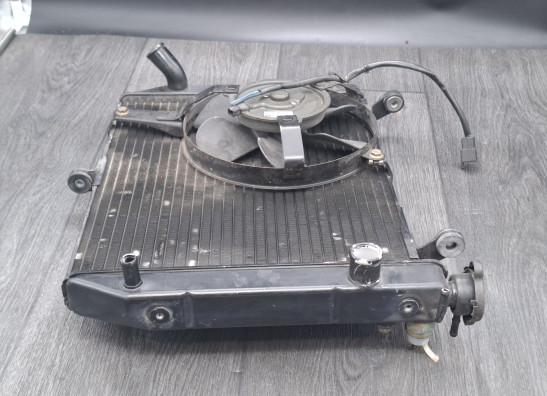 Kuhler Yamaha YZF R1