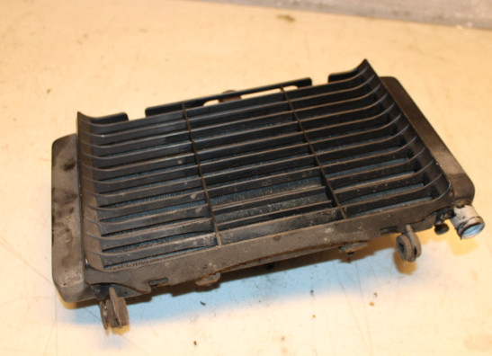 Radiateur Honda CBF 500