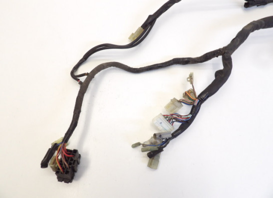 Kabelboom Yamaha FZ6