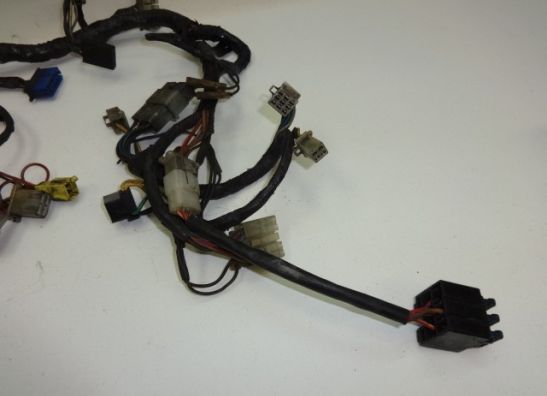 Kabelboom Yamaha FJ 1100