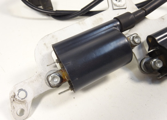 Bobine Aprilia Tuono 1000