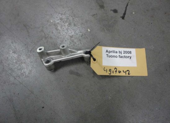 Overig Aprilia Tuono 1000