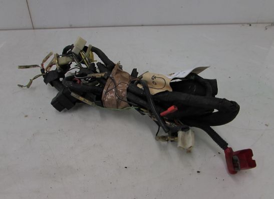 Wire Harness Suzuki GSX 400 X Impulse