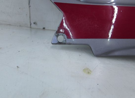 Heck links Kawasaki ZZR 1100