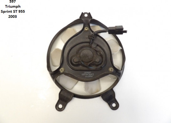 Fan Triumph Sprint ST 955