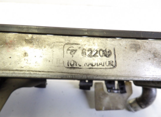 Kuhler Honda XL 1000 V Varadero