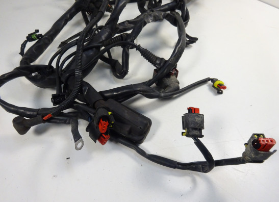 Kabelboom MV Agusta 750 Brutale