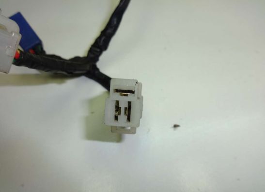 Sonstiges Yamaha FZR 600