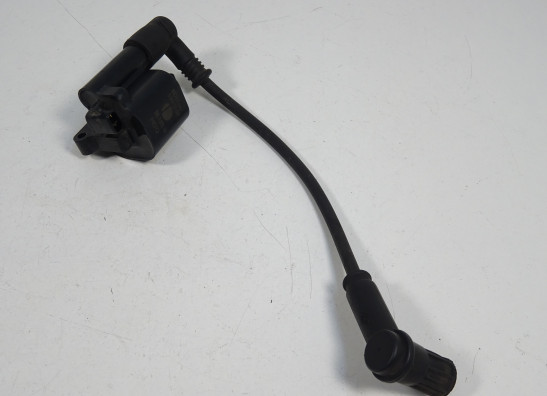 Bobine Ducati monster 796 2011-2014