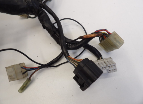 Kabelboom Triumph Trophy 900