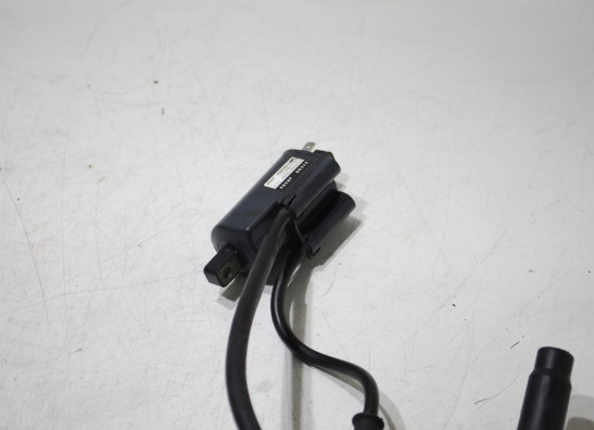 Bobine Suzuki RF 600
