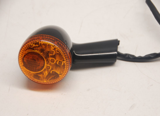 Blinker Harley Davidson Softtail