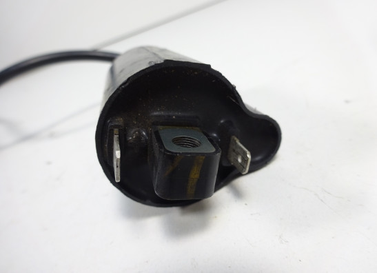 Bobine Ducati monster 600