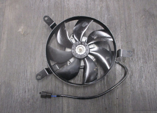 Fan Kawasaki Z 1000 Sx