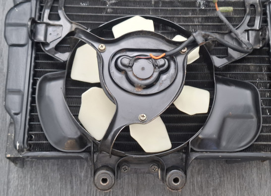 Radiateur Suzuki Gv 1400 cavalcade