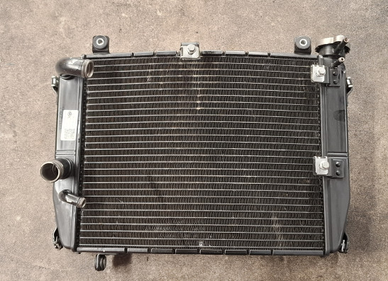 Radiateur Aprilia Tuono 660