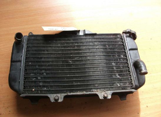 Radiator Yamaha TDM
