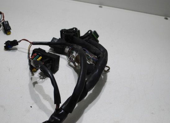 Kabelboom Aprilia Caponord 1000