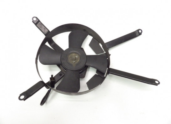 Fan Kawasaki ZXR 750