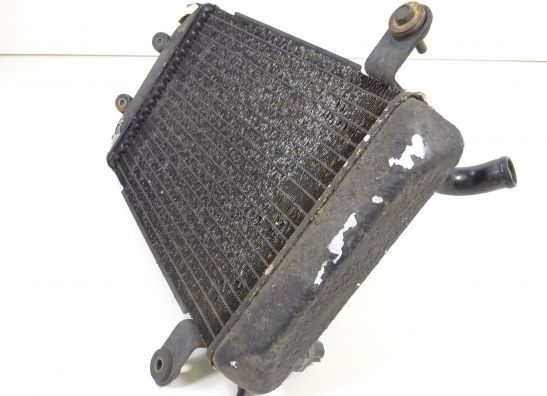 Radiator Suzuki Burgman AN 250