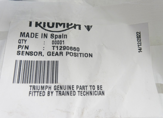 Getriebe Triumph Street Triple 675