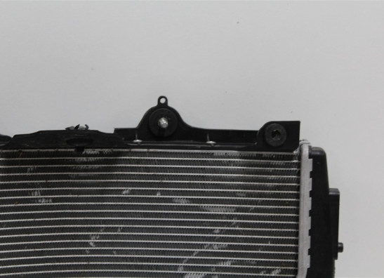Radiateur BMW S 1000 R