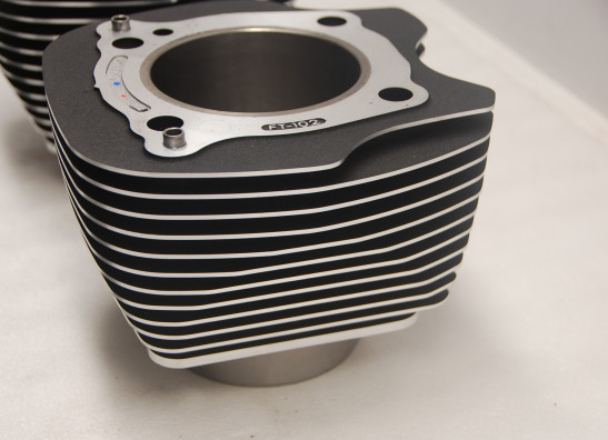 Cilinderblok Harley Davidson Softtail
