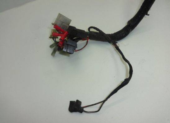 Wire Harness Kawasaki ER 5