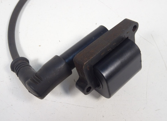 Bobine Ducati monster 696