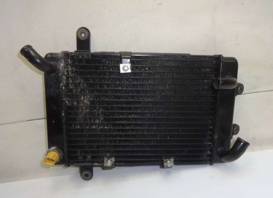 Kuhler Suzuki Burgman 400