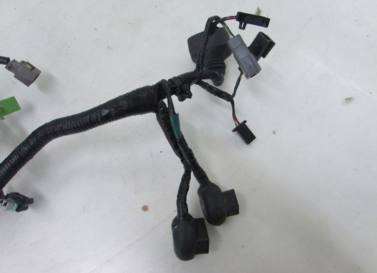 Kabelbaum Kawasaki Z 300