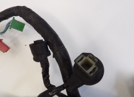 Kabelboom Honda CBR 600 F