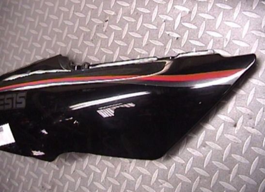 Heck rechts Yamaha FZR 600